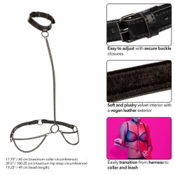 Calexotics - Euphoria Collier Et Laisse Chaine